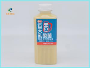 乳酸菌